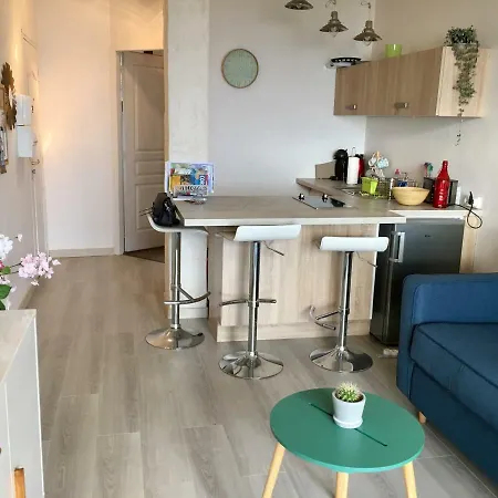 Studio Route Des Sanguinaires - Terrasse Vue Mer Appartement *